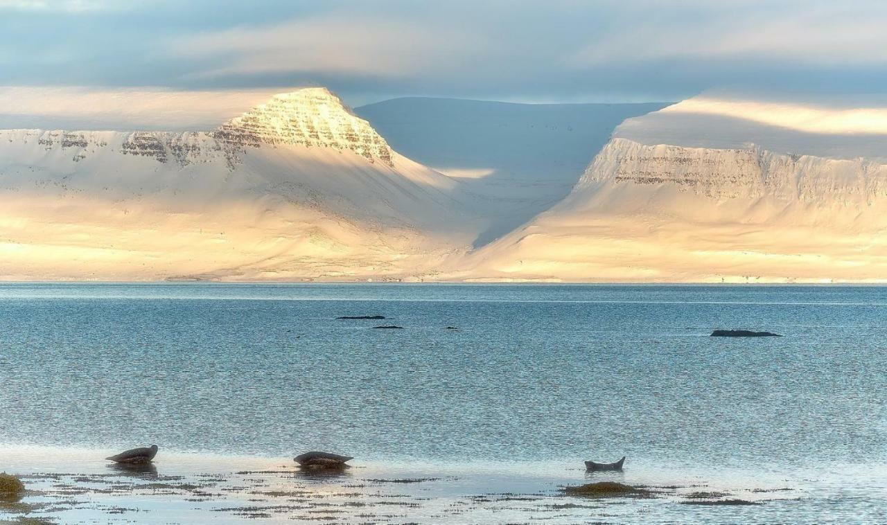 Sudavik Guesthouse Súðavík 외부 사진